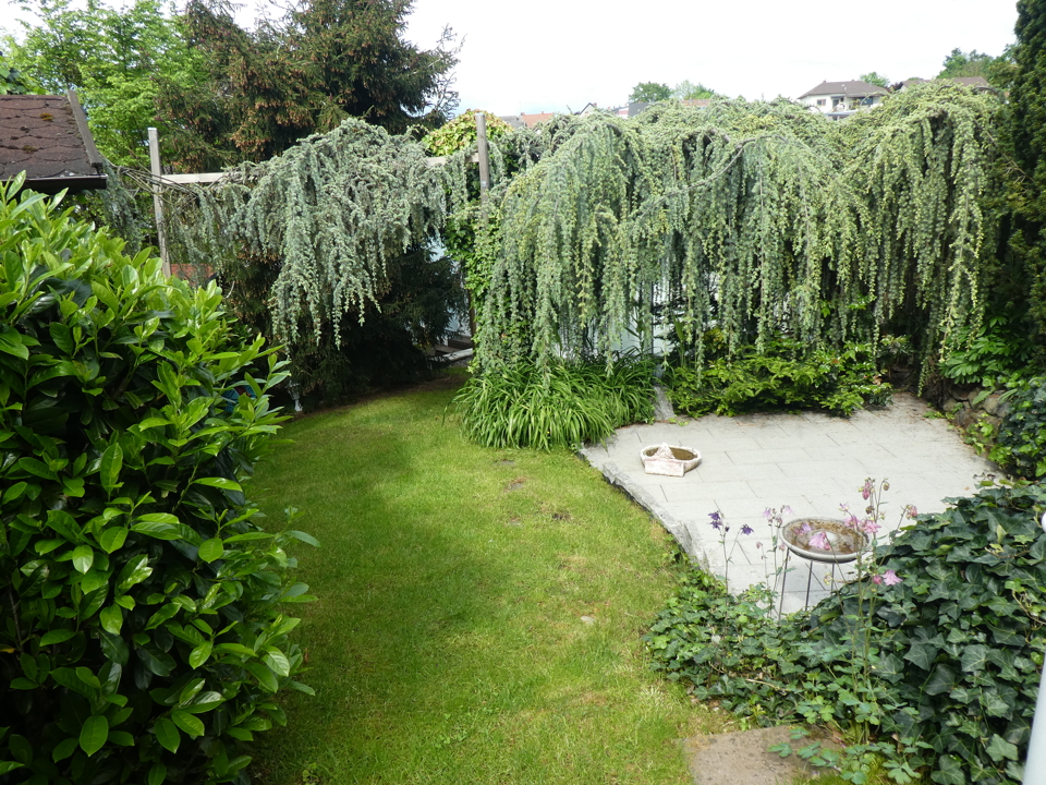 Garten und Terrasse